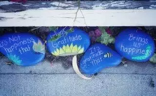 Tips for Getting Back on Track after the Holidays